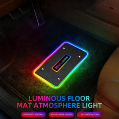 alfombra con luz para auto Personalized Car Floor Mat Light