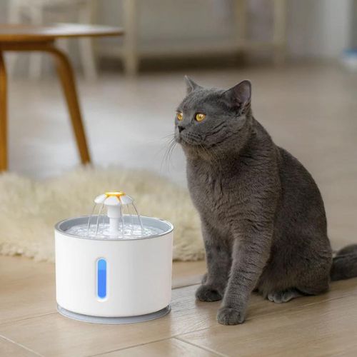 Fuente de agua automática para gatos