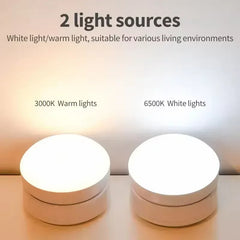 luz Motion-Activated Portable Night Light