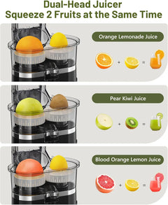 Dual Head Electric Juicer